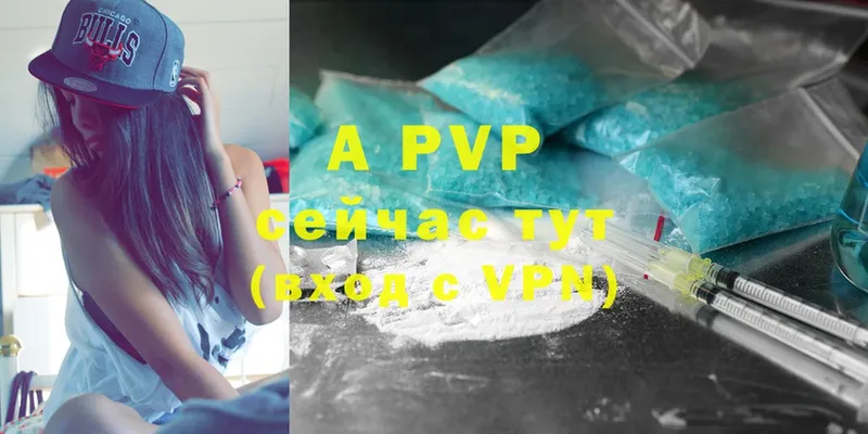 A PVP СК КРИС  Енисейск 